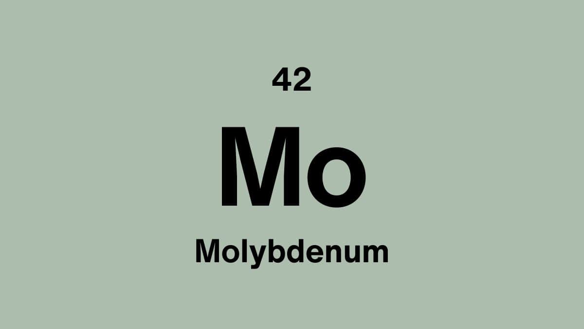 Molybdenum element symbol Mo, atomic number 42, on a sage green periodic table tile
